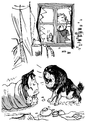 贼光顾难出大门 <em>狗</em>进门苦中有乐_新闻中心_新