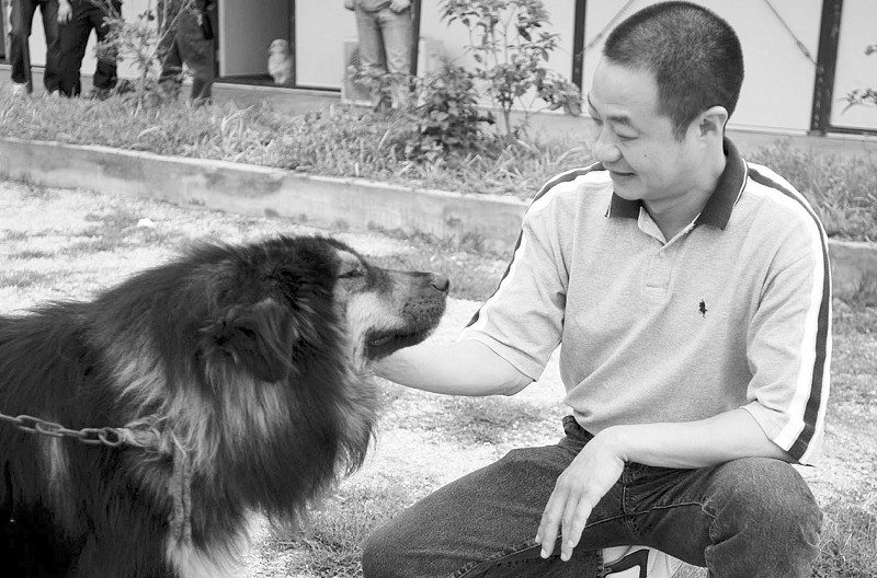 厦门市民可到宠物收容站领养狗狗