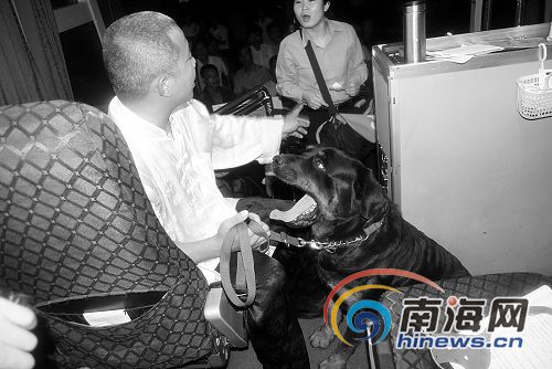  退伍兵 携军犬 乘车 赴三亚寻仇吓走众乘客(图)_