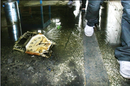 表哥为争一分田杀死弟媳后放火烧房(附图)