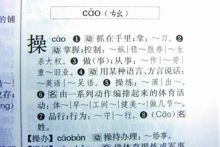 上诉者因语言粗俗被拘续:粤高院退回其申诉书