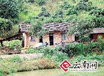 2名少年好友6天内相继服毒自杀