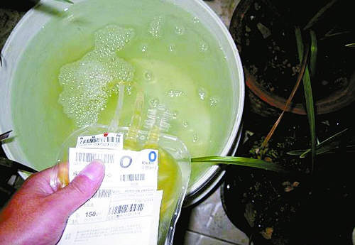 网帖称成都血液中心用血浆浇花(组图)