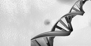 村民打死妻子后抛尸佯装对方失踪多次寻找