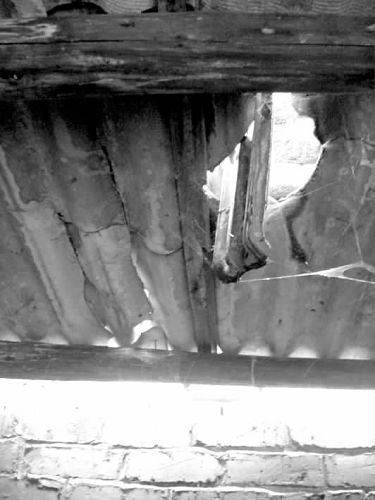 房东不愿续租怪事频出 前租户成老人复仇幽灵