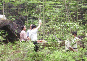 广西平果县一辆面包车坠谷底8人遇难11人受伤