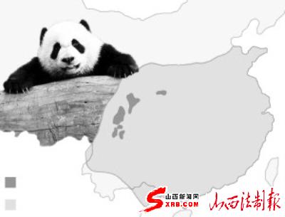 大熊猫之死:呼唤出台动物保护法(图)