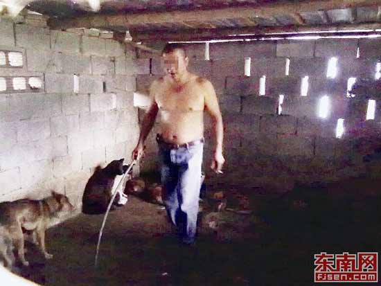 记者暗访狗肉黑市多数土狗系偷抢而来