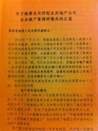 胡肖华等人就破产案给湖南省高院的调研汇报