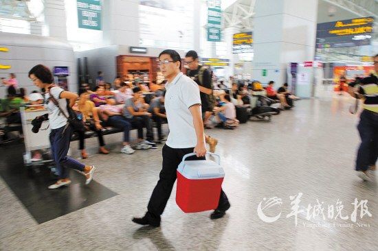 ����ֲ����Խ��Խ�ã������ĸ���ȡ��4Сʱ��ҽ�����Ϸɻ� ����������� �̺� ��
