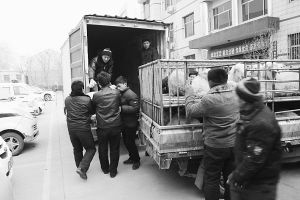 ����������׷�صı������� �������� ������ ��