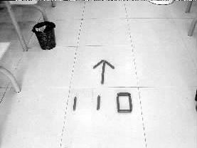 ��110����־