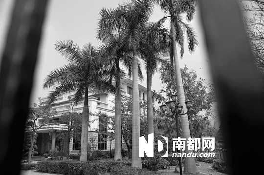 ���ٱ�Ϊ���ִ��ʹ����ı�����