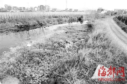 Ů�����������С�ӹ��з��ֵ�