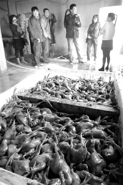 ������ÿ�½�����ֻ��������װ�����ߡ�