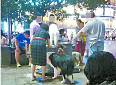 ���������������ֱ��ˮ ����ͼ