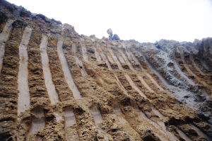 �ھ�����µ����