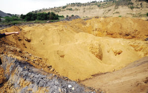 ���ڳ��Ļ�����ɳ�ӡ�