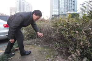 醒來后尋找失物