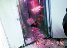 51�곬��Ա�������� �������������Ӱ�ʮ����