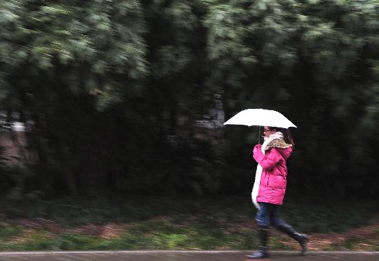 图文:重庆主城区1992年以来首次下雪