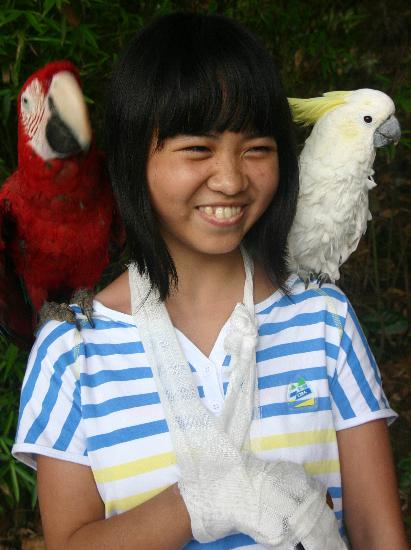 图文:郭玲在重庆野生动物世界与鹦鹉合影