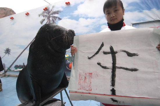动物园海狮写牛字迎新年(组图)