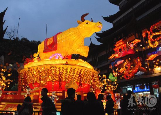 豫园新春民俗艺术灯会进行首次试灯,随着中心广场上的大金牛的旋转,牛