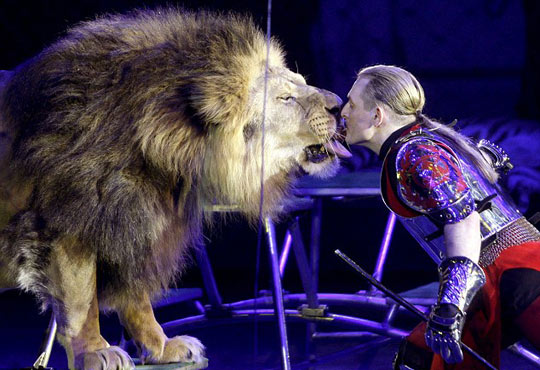 组图：马戏团表演惊险人狮之吻