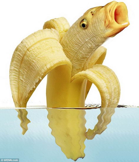 香蕉鱼