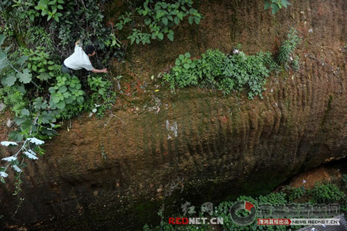 消防员攀爬悬崖救宠物狗(组图)