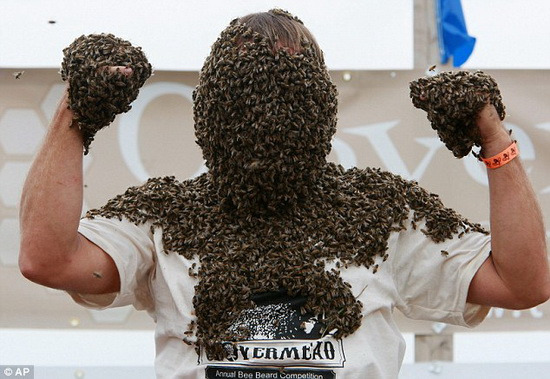 加拿大人参加蜜蜂胡须大赛头部爬满蜜蜂(组图)