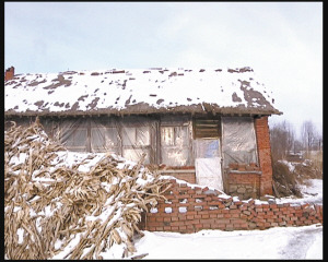 ��̫�Ը��Ƨ����ǰ����