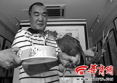张先生希望他购买的锦鸡尽快交给野生动物保护部门 本报记者 宁峰 摄