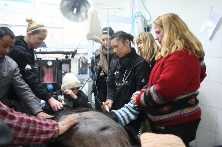 饲养员为去世黑熊念悼词图