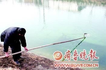 养殖户4万尾黑鱼苗疑因病毒感染致死亡(组图)