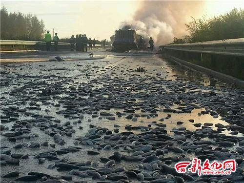 ���������ײ���������ء�