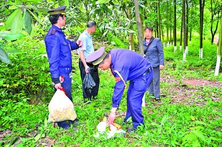 两市民摘枇杷被保安拦下