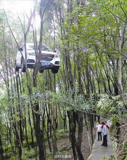 温州市区景山温州动物园北门交叉路口，一辆白色的越野车竟挂在了山坡下的树林里。