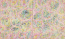 2008 Zoon-No.0802475x280cm