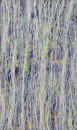 2008 Zoon-No.0814240x140cm