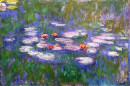water-lilies-1919-2