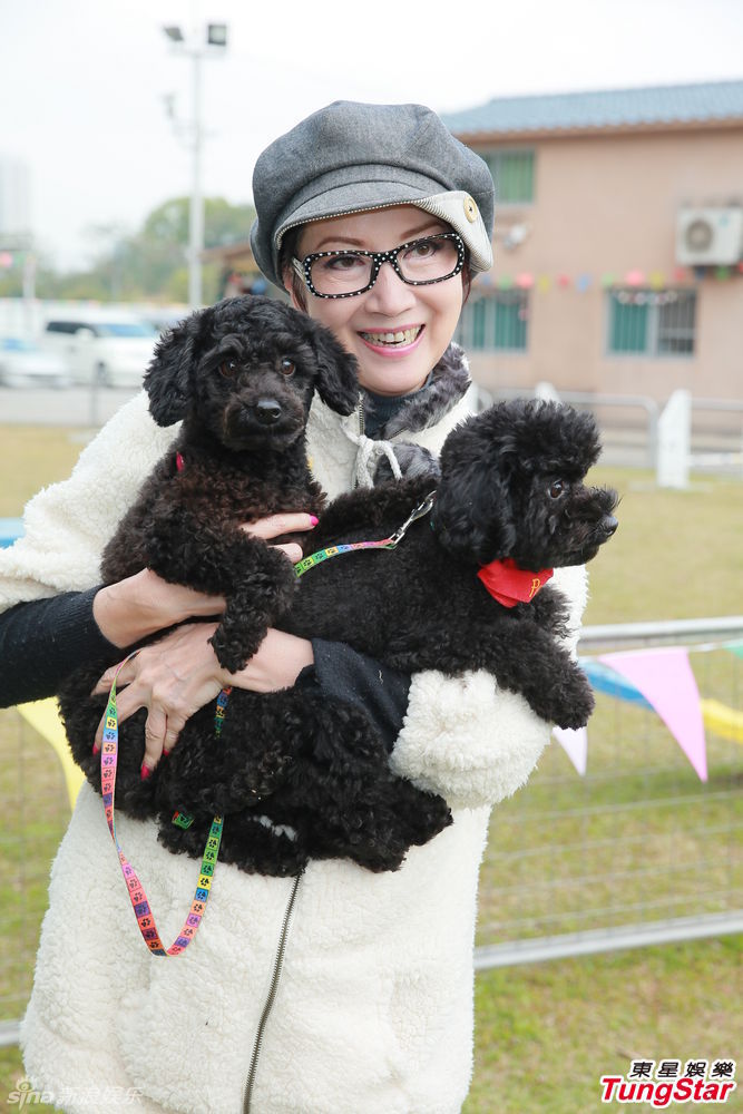 组图：TVB《绝世好狗》聚焦萌宠 狗狗卖萌出镜