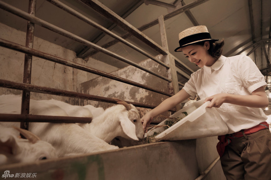 组图：许榕真牧场写真 与羊亲密接触甜美可人