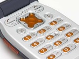ᰮ Z208