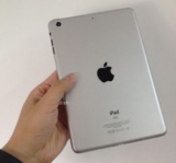 ƻ iPad Mini