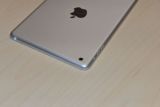 ƻ�� iPad Mini