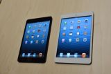 ƻ�� iPad Mini