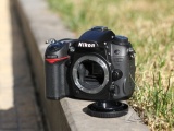 ῵D7000 Чͼ