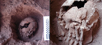 9000年前头骨揭示南美洲早期丧葬仪式